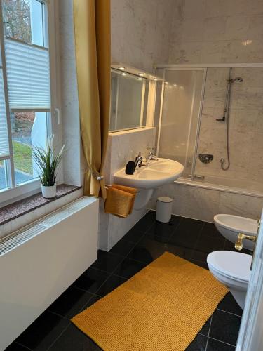 a bathroom with a sink and a toilet and a shower at Ferienwohnung Marie in Bad Elster