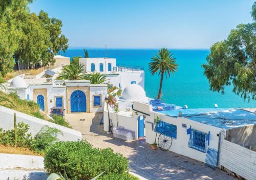 a group of white buildings with the ocean in the background at The Sidibou Said Story in Sidi Bou Saïd