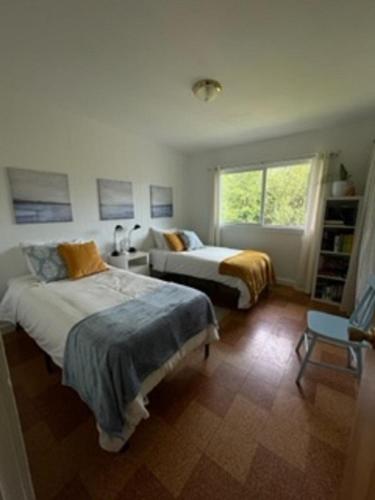 a bedroom with two beds and a window at Sweet Creek Retreat in Nelson