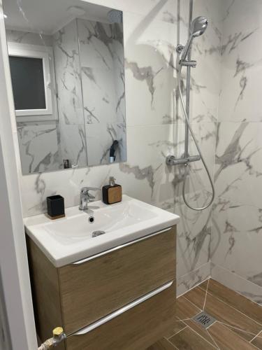 une salle de bain avec un lavabo et une douche dans l'établissement Logis doré, à Menton