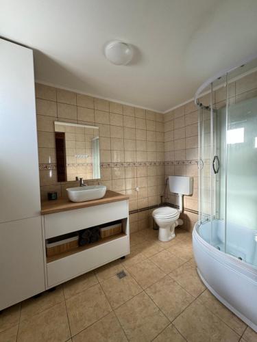 a bathroom with a sink and a toilet and a tub at Panoramic House in Mărişel