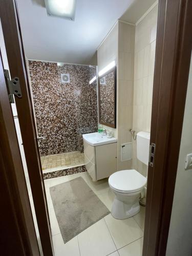 コンスタンツァにあるHoliday Apartmentのバスルーム(トイレ、洗面台、シャワー付)