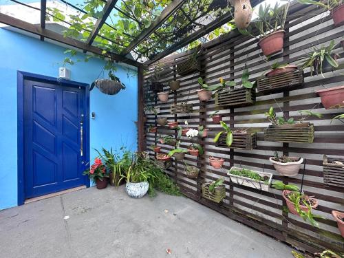 a retaining wall with potted plants and a blue door at Recanto da Sol in Florianópolis