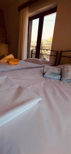 Postelja oz. postelje v sobi nastanitve Villa Athamanio - Premium