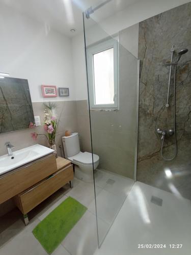 een badkamer met een douche, een wastafel en een toilet bij Auprès de mon arbre in Thuir
