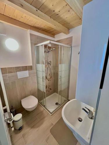 a bathroom with a shower and a toilet and a sink at Al Mulino - Lago di Garda in Toscolano Maderno