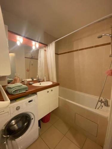 une salle de bain avec un lavabo et une machine à laver dans l'établissement Voyage en Touraine, à Fondettes