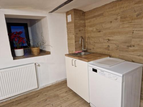 uma cozinha com um lavatório e uma máquina de lavar roupa em Casa 7 SATE apartament em Săcele