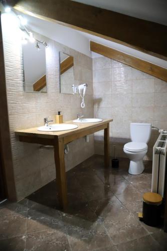 a bathroom with a sink and a toilet at Sowi Gościniec Wellness & Breakfast in Sokolec