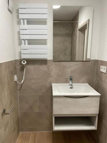 a bathroom with a sink and a mirror at Komplette Studiowohnung in Dinkelsbühl