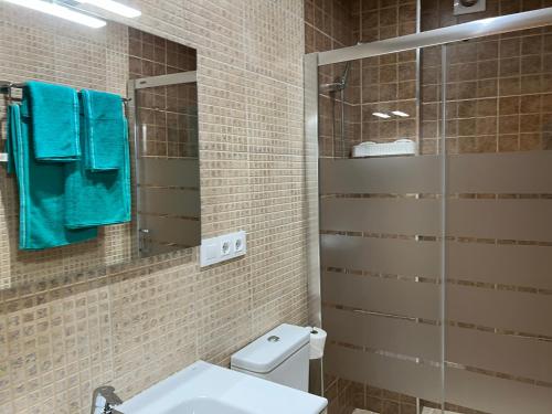 a bathroom with a toilet and a sink and a mirror at Apartamento de Pascualin con jardin privado in A Coruña