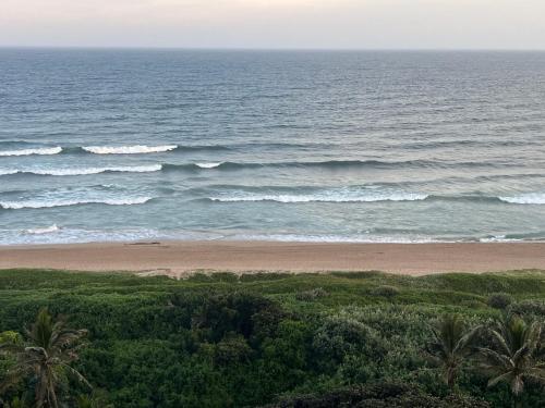 an ocean view of a beach with palm trees at Stella Maris Flat 93 Amanzimtoti in Amanzimtoti