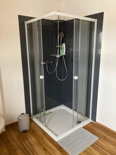 a shower with a glass enclosure in a bathroom at Airpark Ranch in Lärz