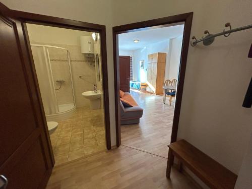 a bathroom with a shower and a toilet in a room at Penzion Maják in Dublovice