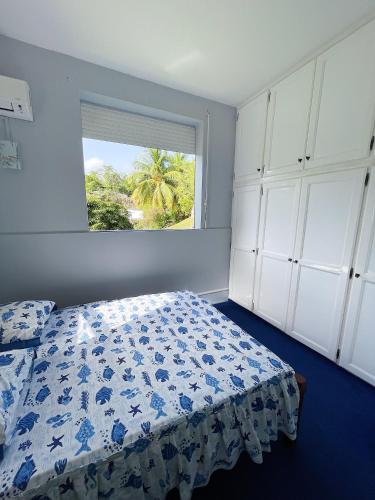 Schlafzimmer mit einem Bett und einem Fenster in der Unterkunft L'appart Ixora climatisé avec terrasse ! in Les Abymes