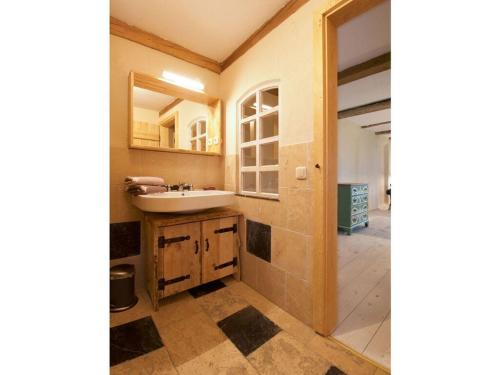 a bathroom with a sink and a mirror at Holiday apartment Trulich Hoff 