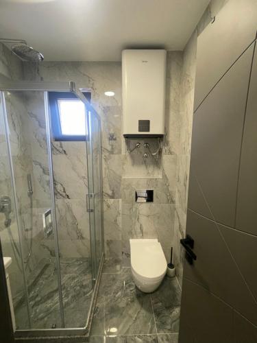 a bathroom with a toilet and a glass shower at Jutarnja Zvezda Kop in Kopaonik