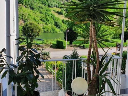 a view of a garden from a balcony with a palm tree at Holiday apartment Lenz in Kröv