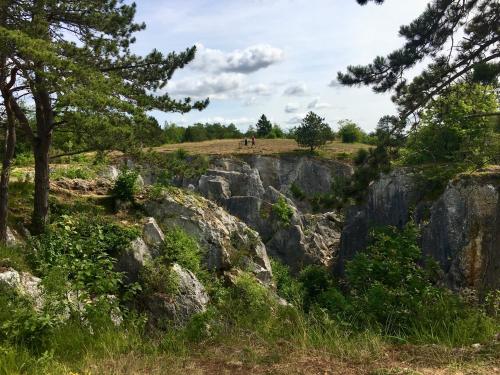 a view of a hill with trees and rocks at La ferme du Ravet - Gîtes aux Lacs de l'Eau d'Heure in Froid-Chapelle