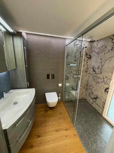 a bathroom with a toilet and a sink and a shower at Schöne Wohnung in Feldkirch in Feldkirch