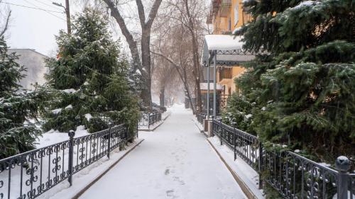 a snowy street with christmas trees and a fence at Апартаменты Центр Медеуский Район in Almaty