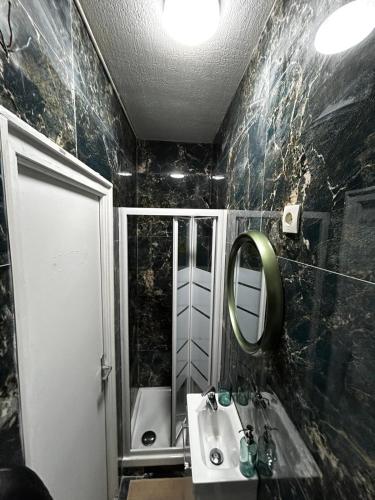 ein Bad mit einem Waschbecken, einem Spiegel und einer Dusche in der Unterkunft Studio tout confort refait à neuf in Levallois-Perret