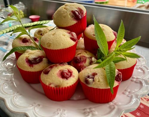 a bunch of muffins in red cupcakes on a plate at Bella Manga Country Escape in Plettenberg Bay