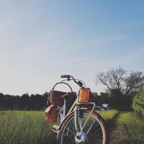a bike parked in the grass in a field at Guesthouse De Wissen in Dilsen-Stokkem