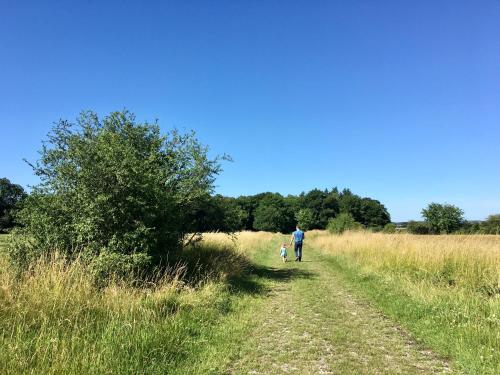 a man and a child walking down a dirt road at La ferme du Ravet - Gîtes aux Lacs de l'Eau d'Heure in Froid-Chapelle