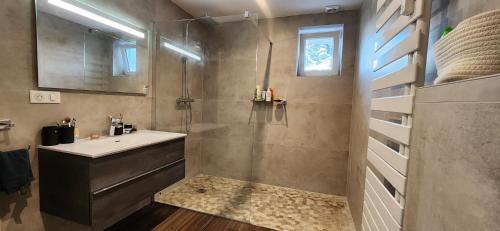 une salle de bain avec un lavabo et une douche dans l'établissement Logement 100m² industriel avec jardin et terrasse, à Brumath