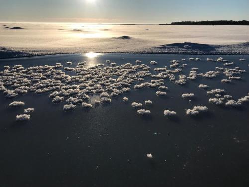 a group of clouds in the water in the snow at Romantiline saunamaja Pädaste lahe ääres in Pädaste