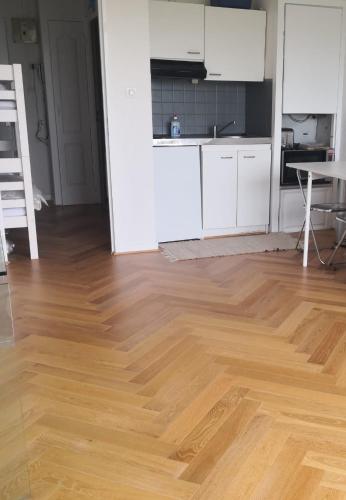 Il comprend un salon doté de parquet et d'une cuisine. dans l'établissement Appartement Biscarrosse plage front de mer 4 personnes, à Biscarrosse-Plage