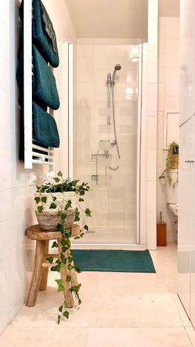 La salle de bains est pourvue d'une douche et d'un tapis vert. dans l'établissement Studio cosy à 15 min de Bastille, à Alfortville