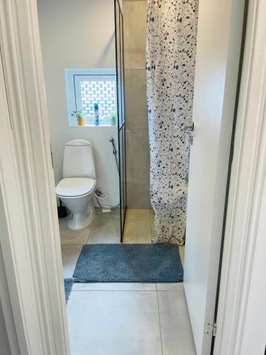 a bathroom with a shower with a toilet and a rug at The Cosy Corner in Billund