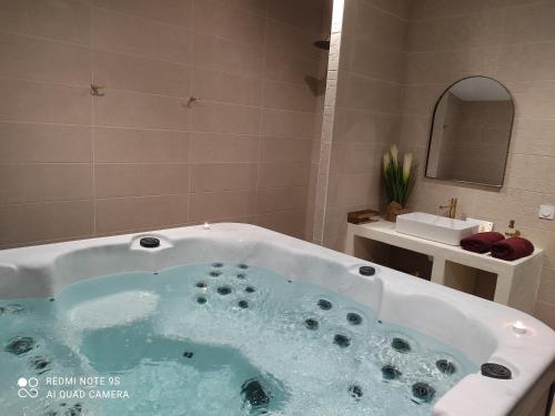 Gîtes des Colombières & Spa في Saint-Maixent-sur-Vie: حوض استحمام في حمام مع حوض