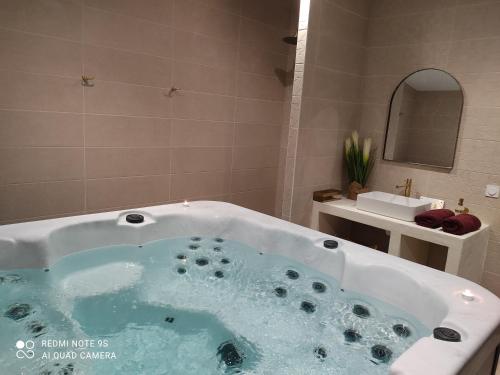 W łazience znajduje się wanna i umywalka. w obiekcie Studio Gîtes des Colombières Piscine & Spa w mieście Saint-Maixent-sur-Vie