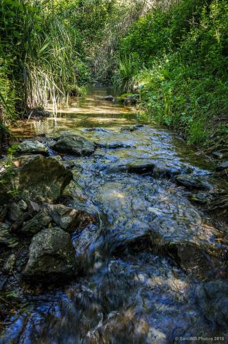a stream of water with rocks and grass at Holiday Inn Express Molins de Rei by IHG in Molins de Rei
