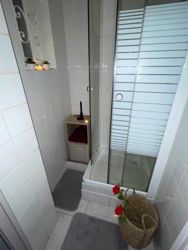 La salle de bains est pourvue d'une douche et d'une corbeille de fleurs. dans l'établissement Shadow Room, à Nîmes