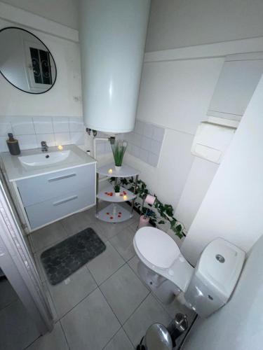 une salle de bain blanche avec des toilettes et un lavabo dans l'établissement Shadow Room, à Nîmes