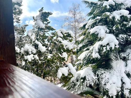 Chalet Bormio Terme photo 3