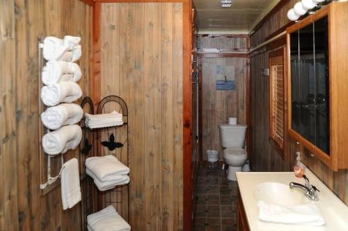 Kúpeľňa v ubytovaní Historic 4 BR Lakefront House with boat house and