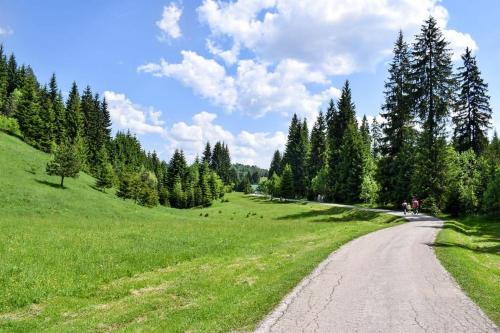 a dirt road in the middle of a field with trees at 7Pines Bijambare - Air Spa in Sarajevo