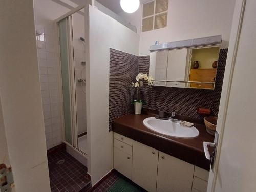 帕艾維坡斯特的住宿－Bel appart F2 Orly aéroport，一间带水槽和镜子的浴室