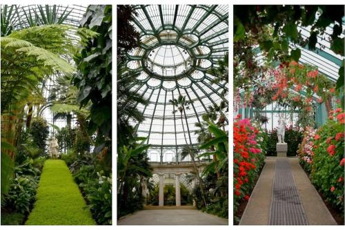 three pictures of a greenhouse with flowers and plants at studio indépendant sans cuisine - Le coin cosy avec WIFI in Brussels