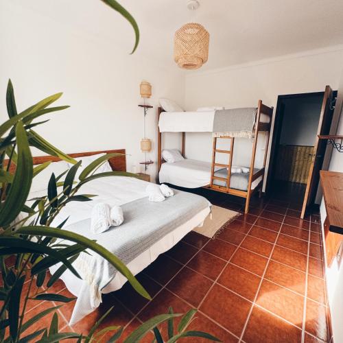 a bedroom with two bunk beds and a potted plant at Casas da Olaria in Aldeia do Mato