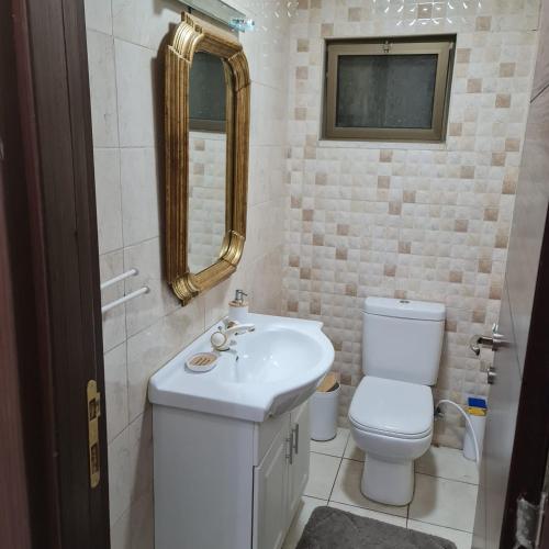 W łazience znajduje się umywalka, toaleta i lustro. w obiekcie 2 bedrooms apartment no 18 w mieście Amman