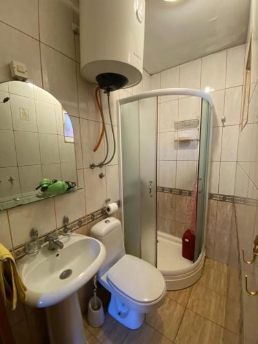 a bathroom with a shower and a toilet and a sink at Markovic Apartmani Becici in Becici