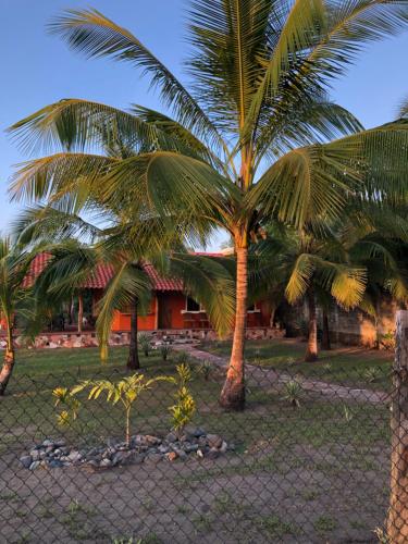 two palm trees and a fence in front of a house at Casa pacifico in Las Lajas