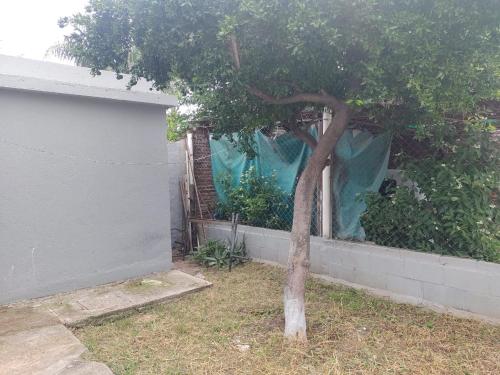 a small tree in a yard next to a building at Departamento Jorge in Marcos Juárez