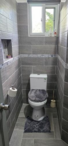 a bathroom with a toilet and a window at Ihola's Nest in Craighton